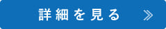 詳細を見る