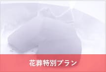ドライアイス4日分