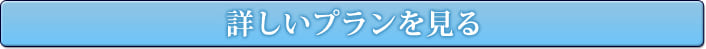 詳しいプランを見る
